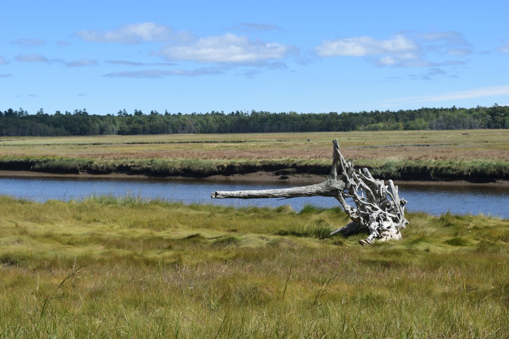 Time at home; a Maine love&nbsp;story