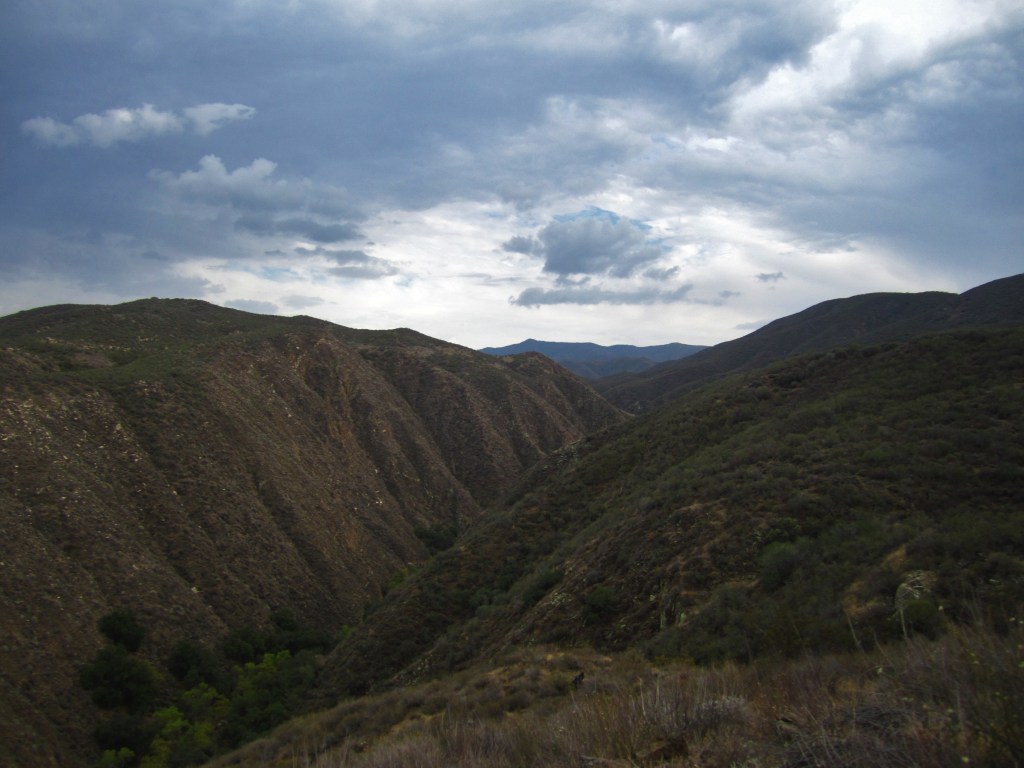 Notes from the field- Western Pond&nbsp;Turtle