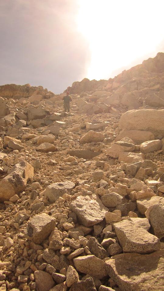 10685548_10101917003701069_7336617664395671533_n