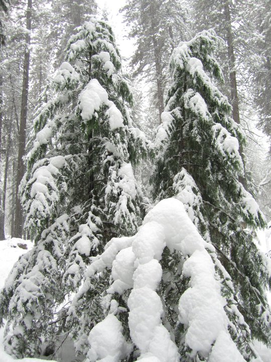 150847_774430802359_2847439_n