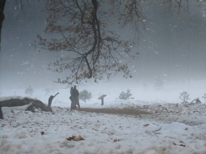 155943_774430318329_4158152_n