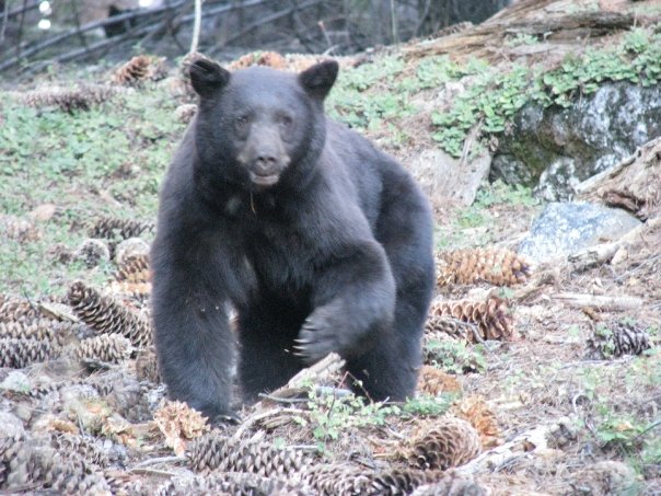 1934245_639896200779_6291110_n