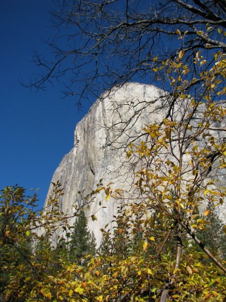 522_561426359969_2011_n