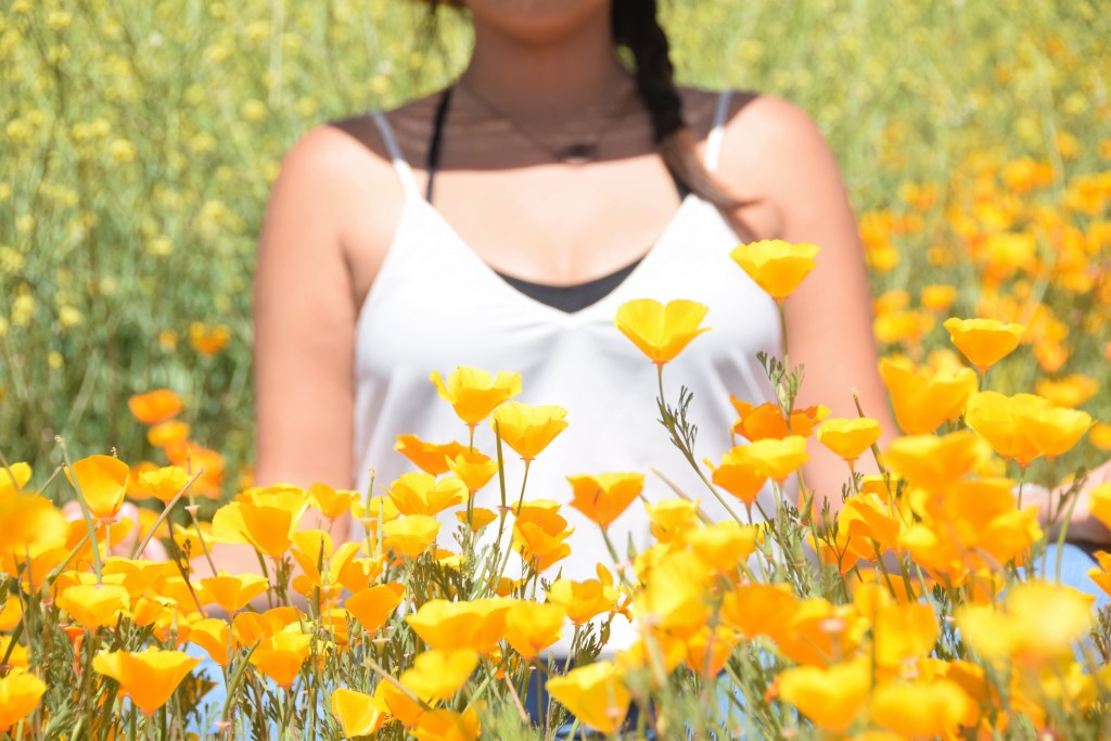 Photo Essay: Poppy&nbsp;Hunting