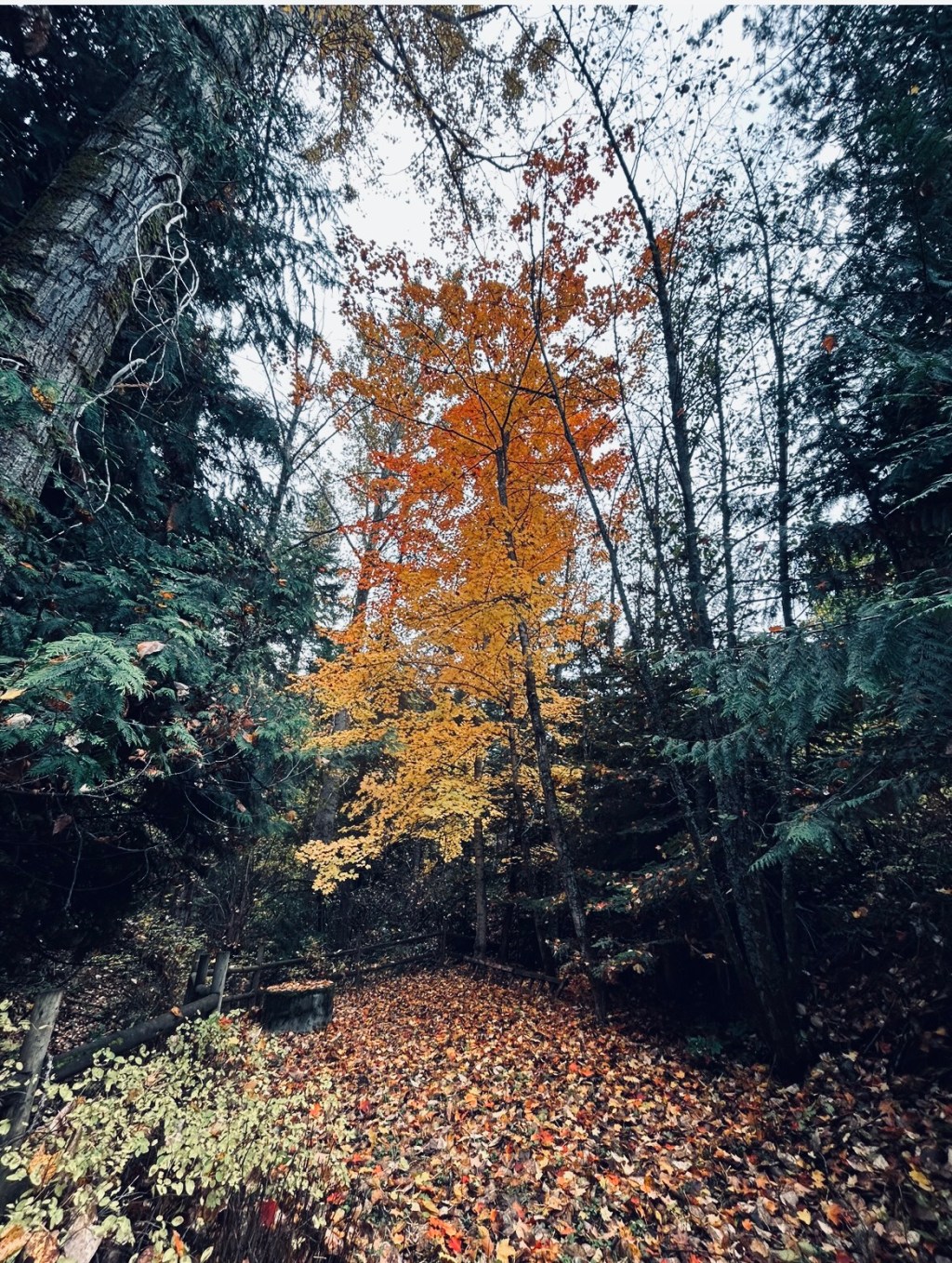 Six Unconventional Spooky Season&nbsp;Movies